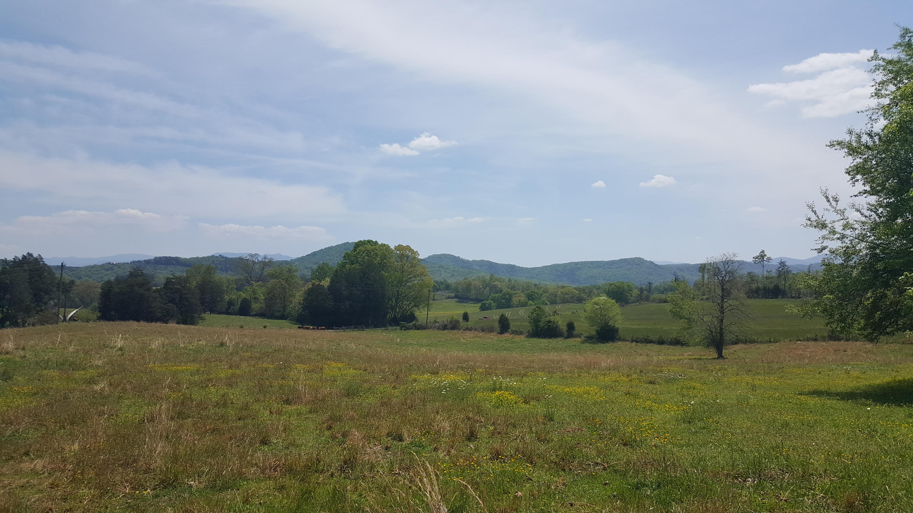 2 Fairview Road Tellico Plains, TN 37385 - Photo 16 of 31 20180502_130922