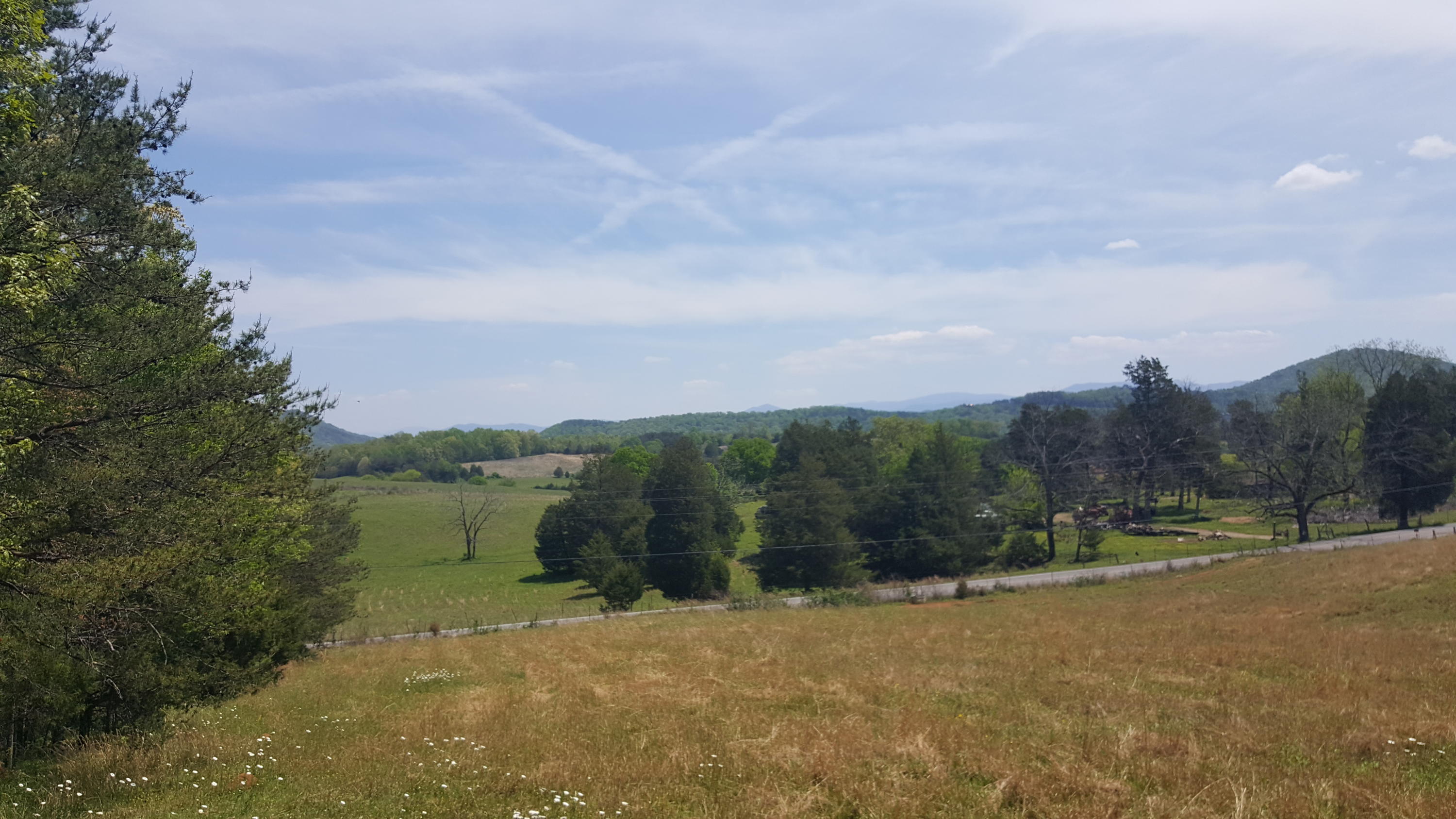 2 Fairview Road Tellico Plains, TN 37385 - Photo 17 of 31 20180502_131436