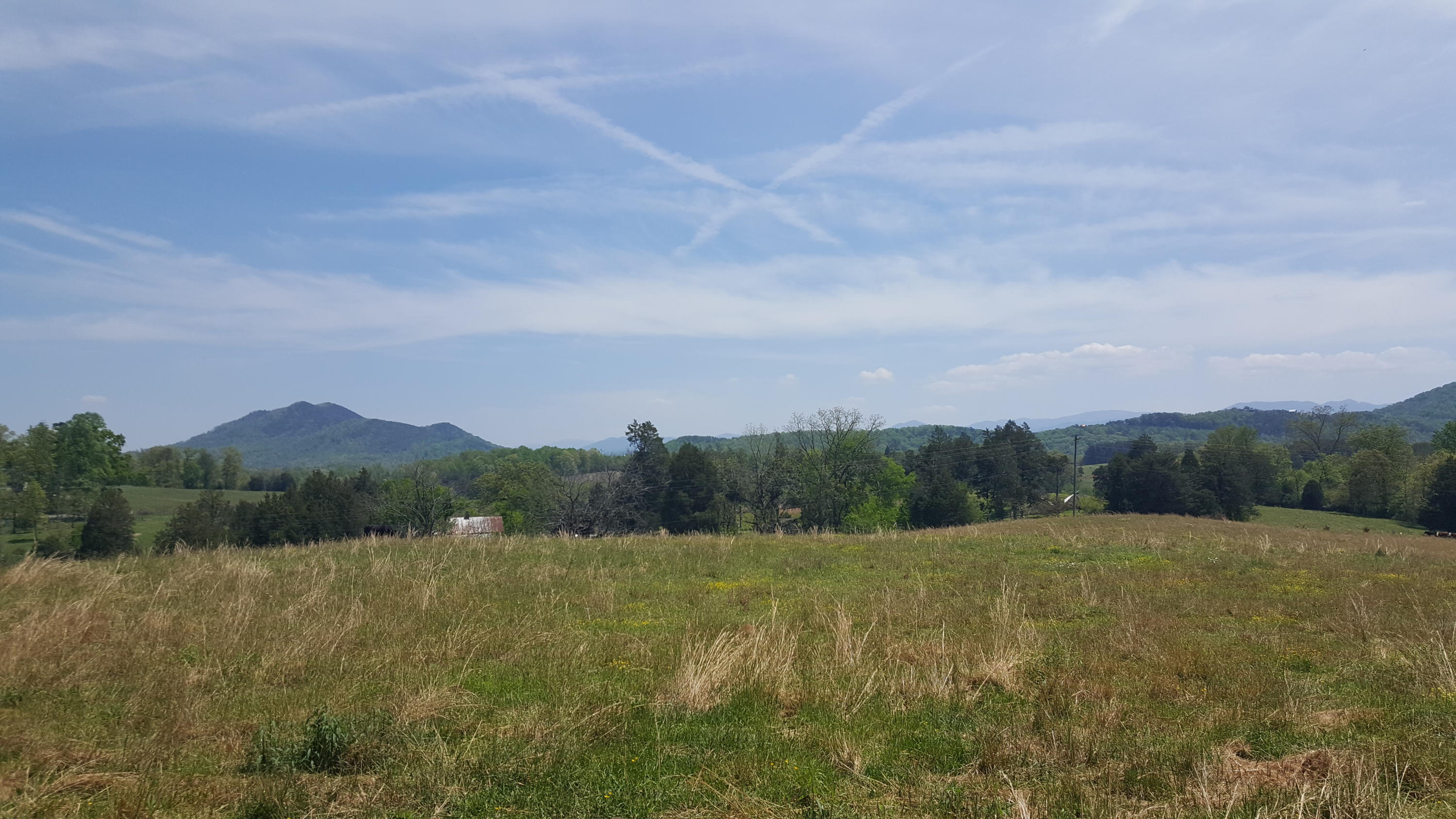 2 Fairview Road Tellico Plains, TN 37385 - Photo 19 of 31 20180502_131005