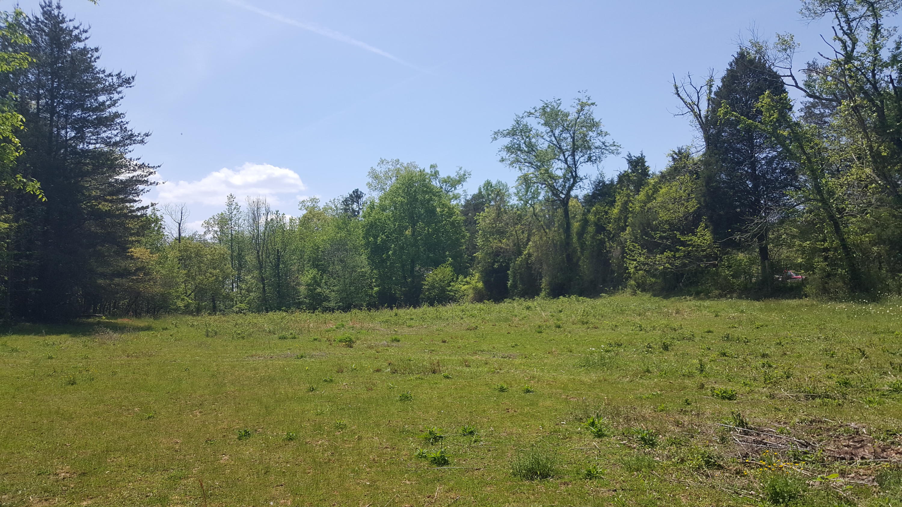 2 Fairview Road Tellico Plains, TN 37385 - Photo 20 of 31 20180502_131130
