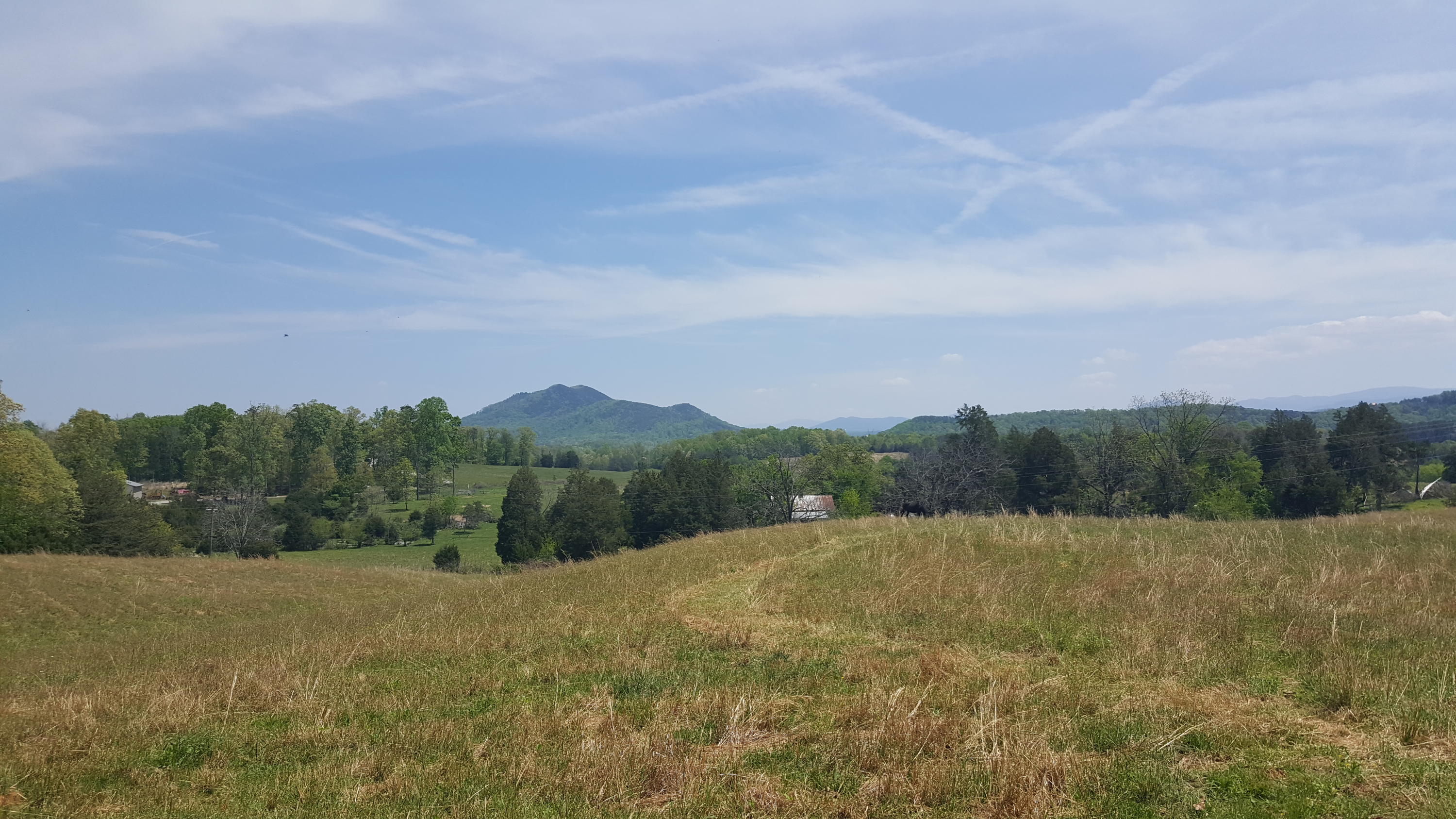 2 Fairview Road Tellico Plains, TN 37385 - Photo 3 of 31 20180502_131238