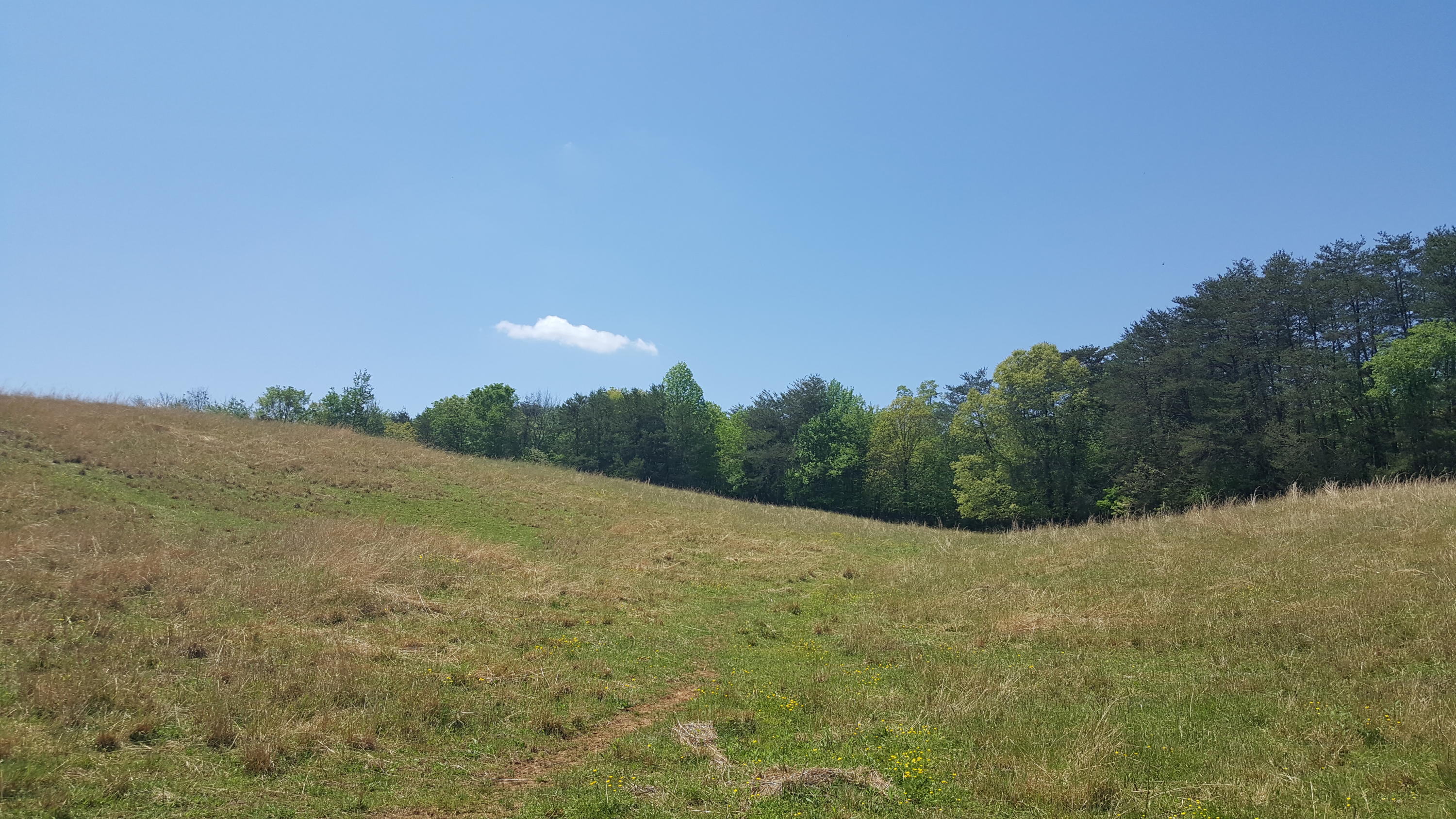2 Fairview Road Tellico Plains, TN 37385 - Photo 29 of 31 20180502_131608