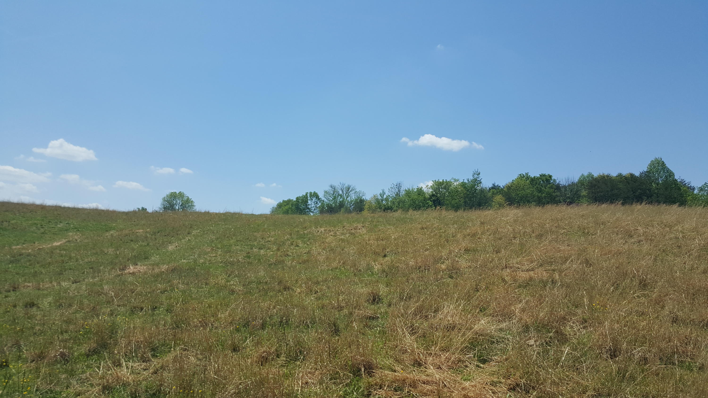 2 Fairview Road Tellico Plains, TN 37385 - Photo 30 of 31 20180502_131625