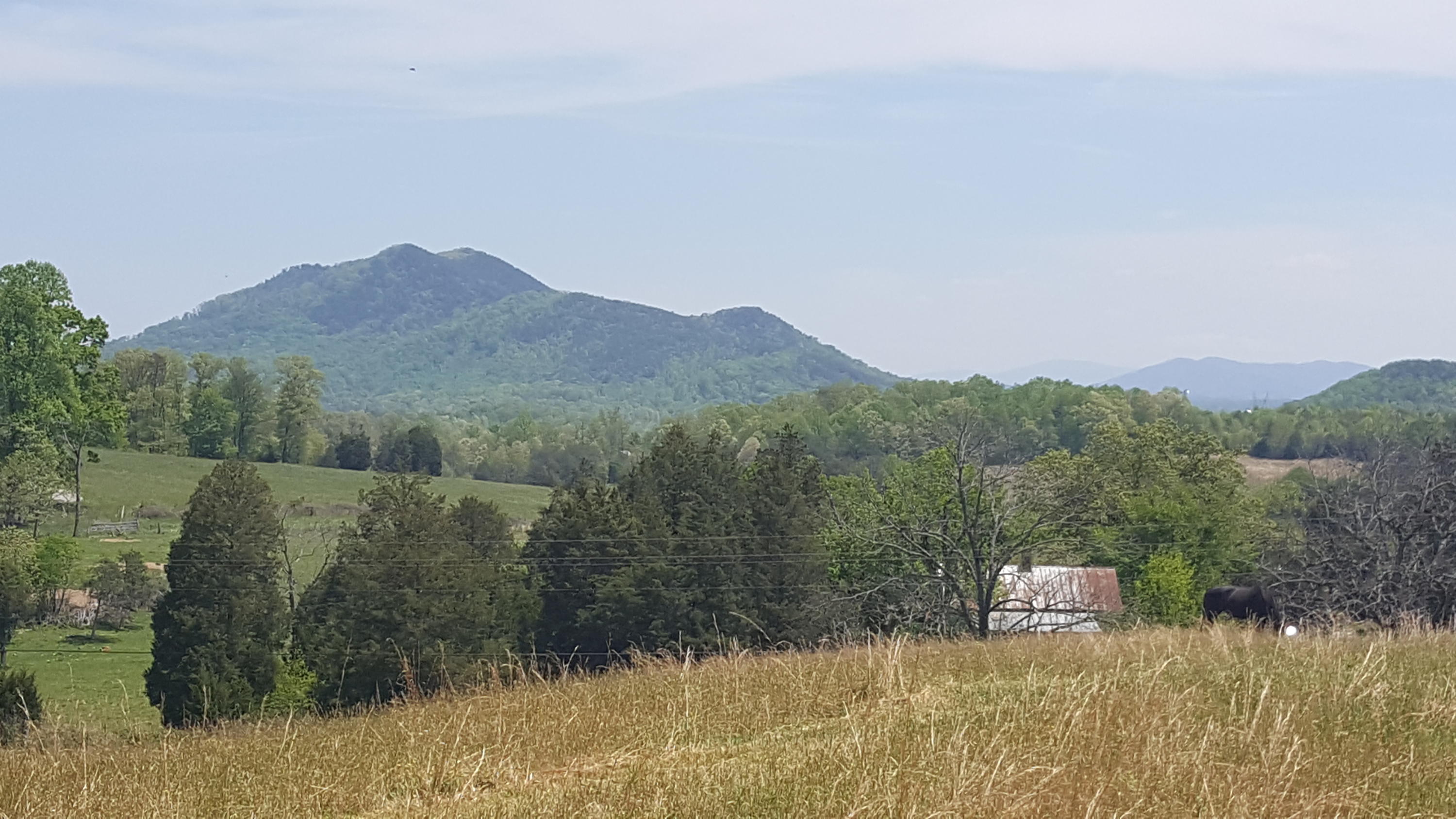 2 Fairview Road Tellico Plains, TN 37385 - Photo 4 of 31 20180502_131029