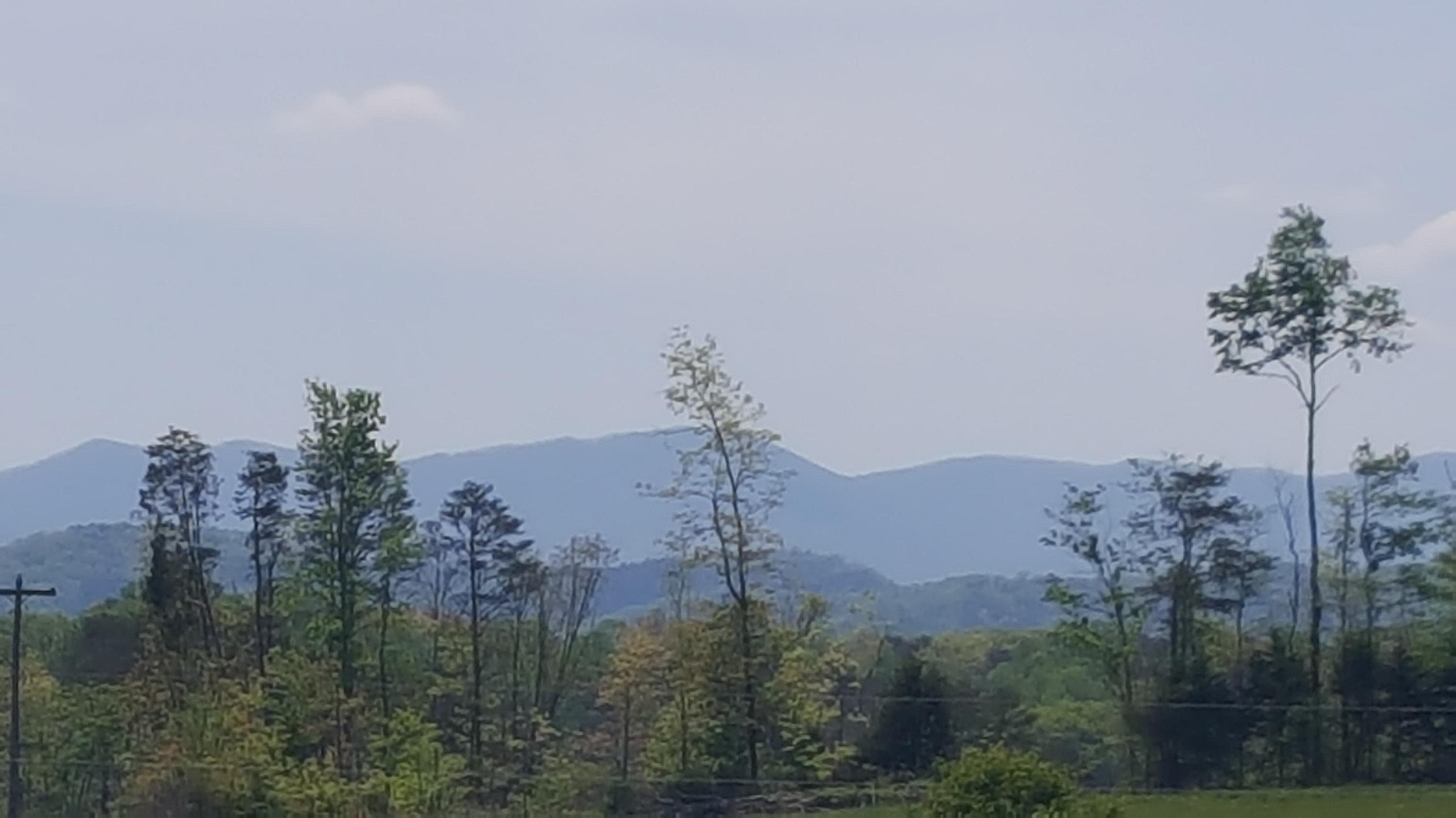 2 Fairview Road Tellico Plains, TN 37385 - Photo 31 of 31 20180502_130759
