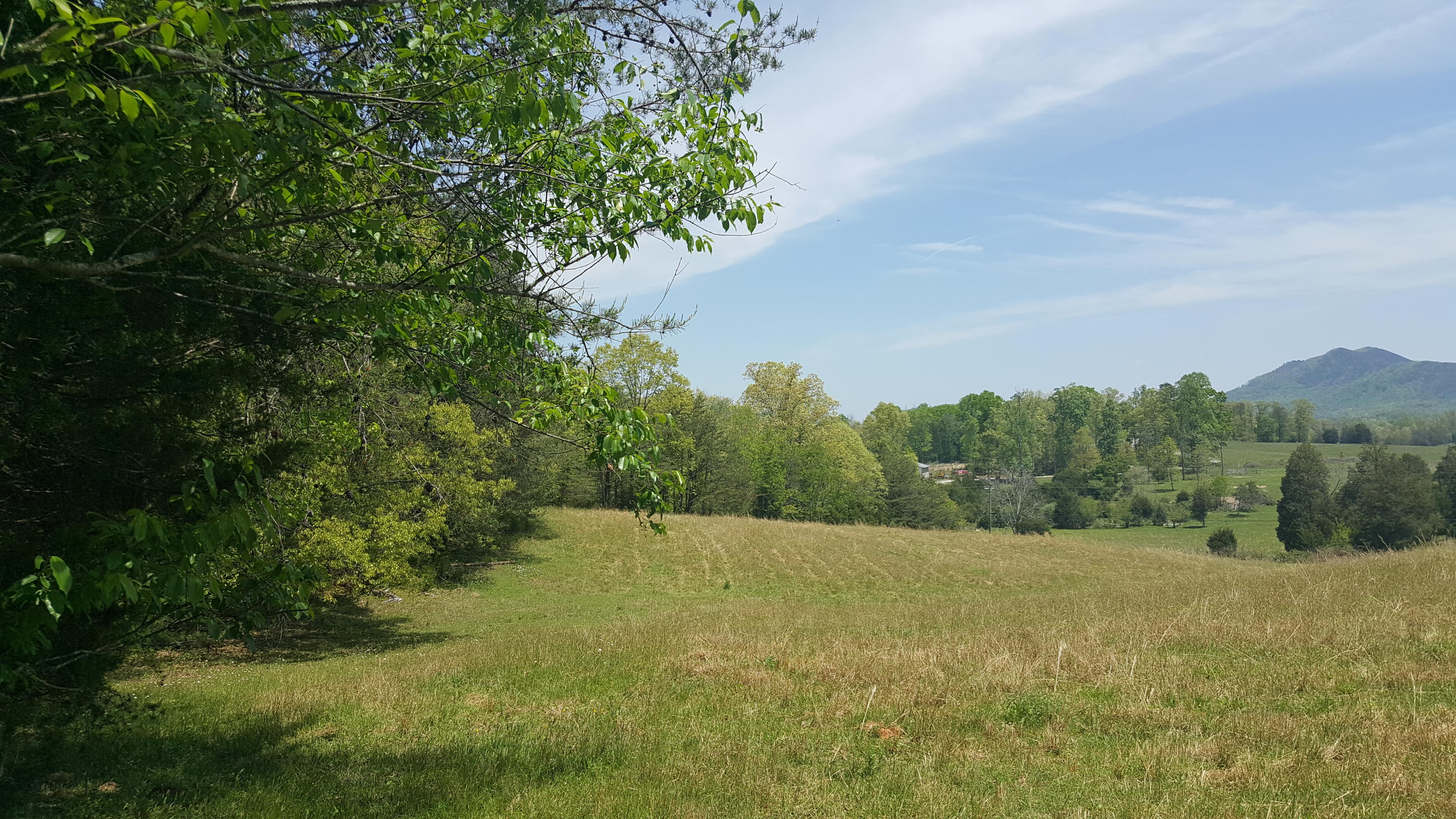 2 Fairview Road Tellico Plains, TN 37385 - Photo 6 of 31 20180502_131250