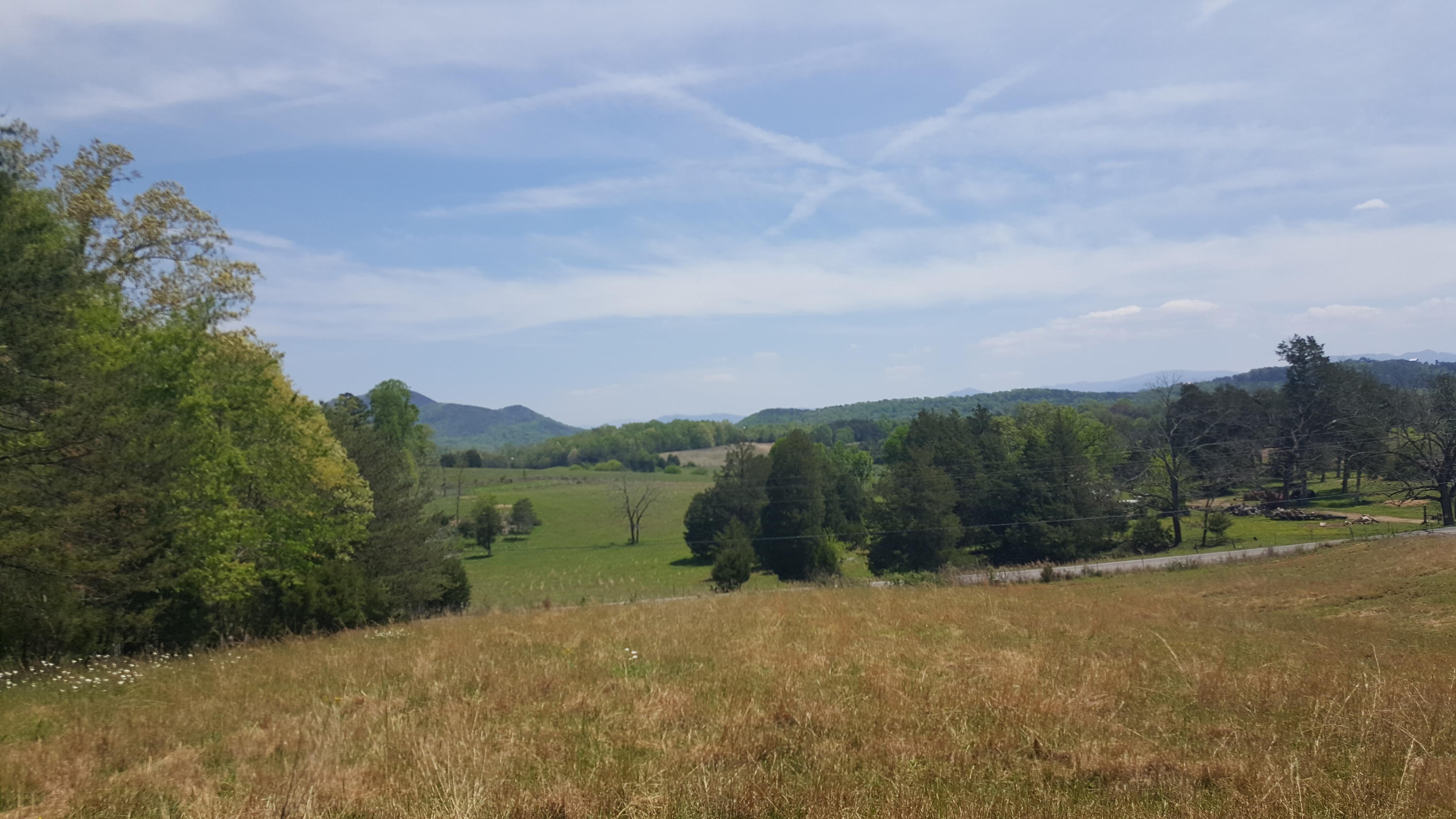 2 Fairview Road Tellico Plains, TN 37385 - Photo 7 of 31 20180502_131403