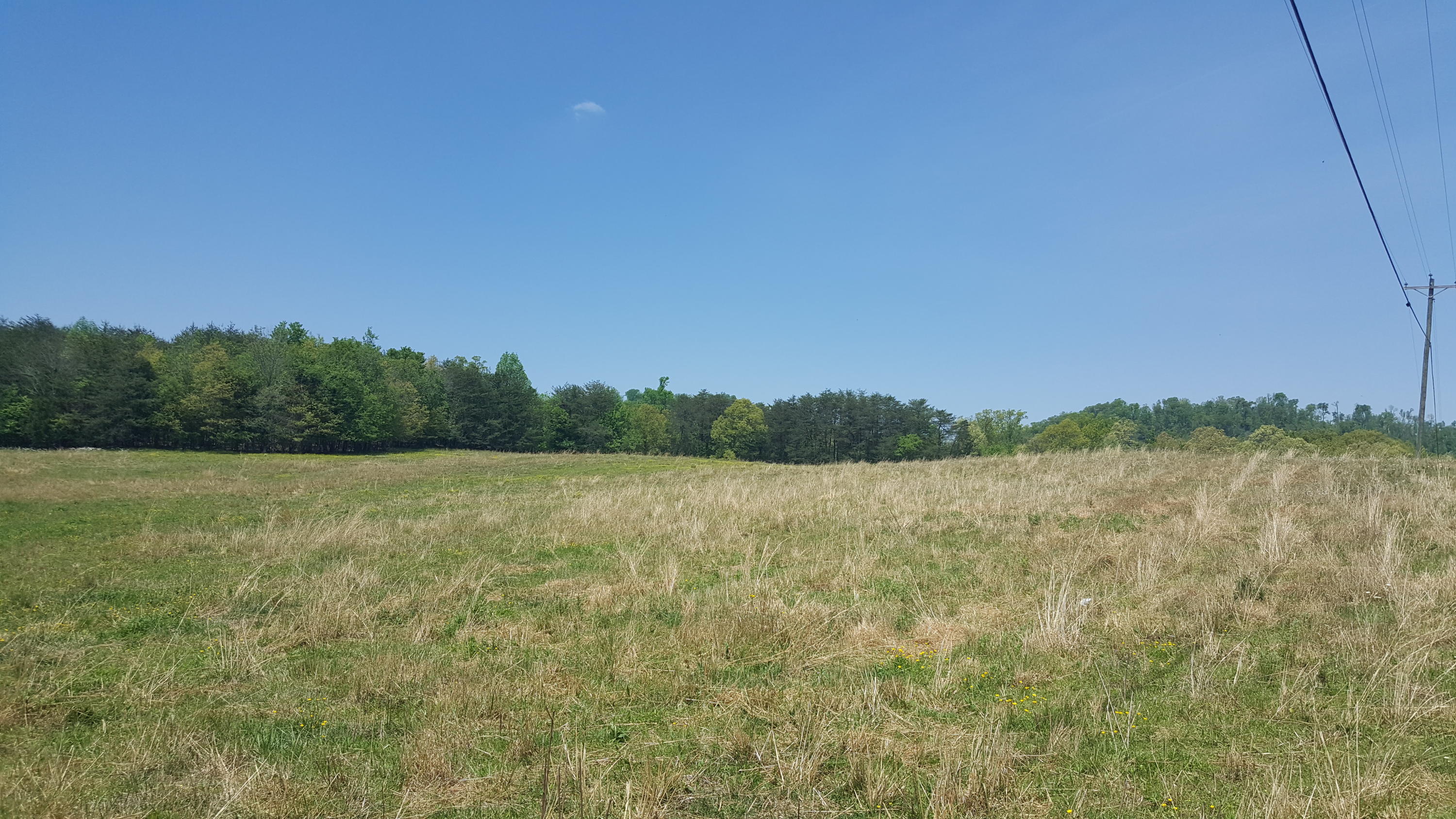 2 Fairview Road Tellico Plains, TN 37385 - Photo 9 of 31 20180502_130010