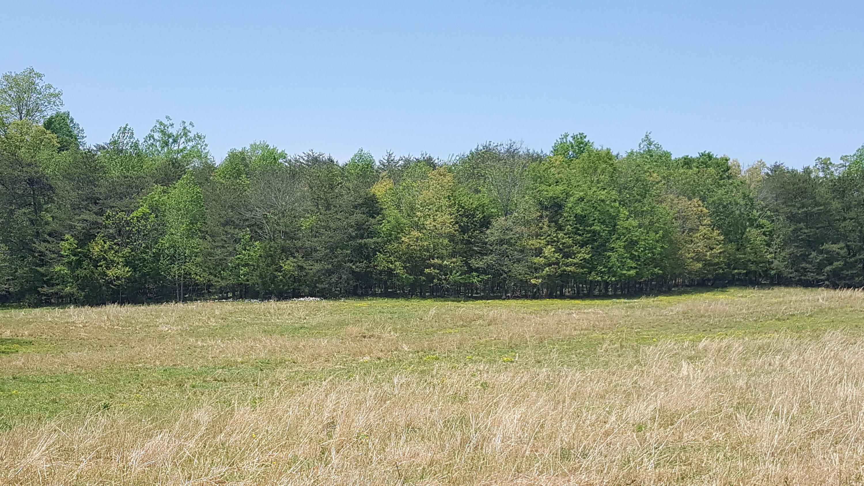 2 Fairview Road Tellico Plains, TN 37385 - Photo 10 of 31 20180502_130137