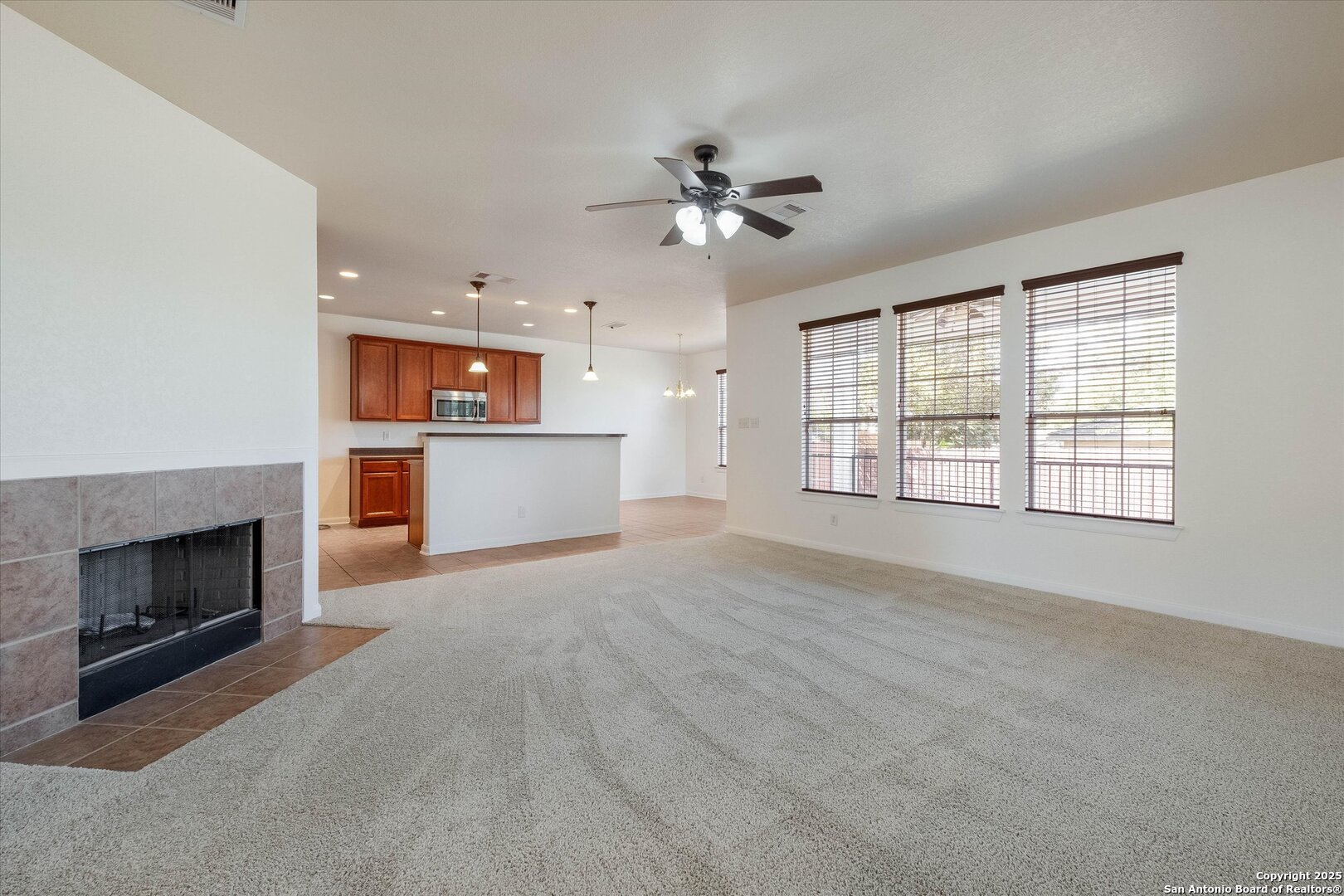 173 Springtree Gate Cibolo, TX 78108 - Photo 5 of 23 a view of an empty room with a fireplace and a window