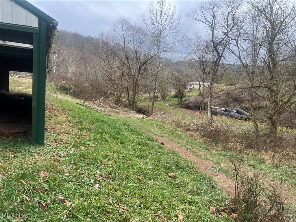 4355 Walker Road Walker, WV 26180 - Photo 8 of 11 View of yard