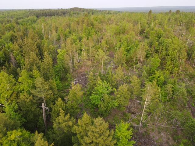 Lot 6 Sebec Village Road Sebec, ME 04481 - Photo 8 of 19 dji_fly_20250604_191134_477_175200586520