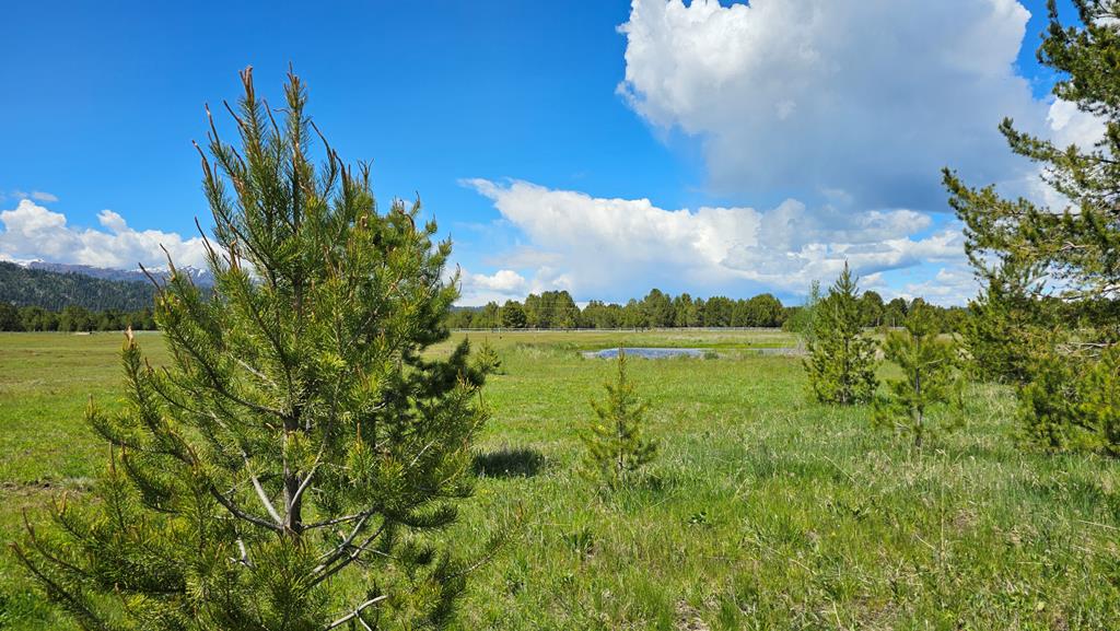 101 Sixty Lane Cascade, ID 83611 - Photo 32 of 52