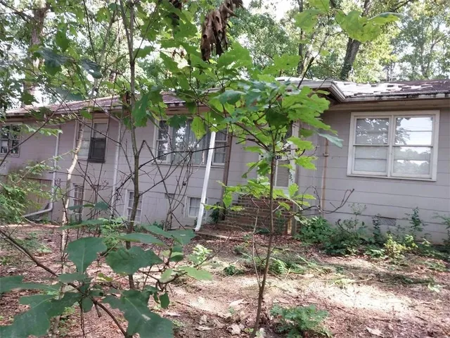 a small garden covered with tall trees
