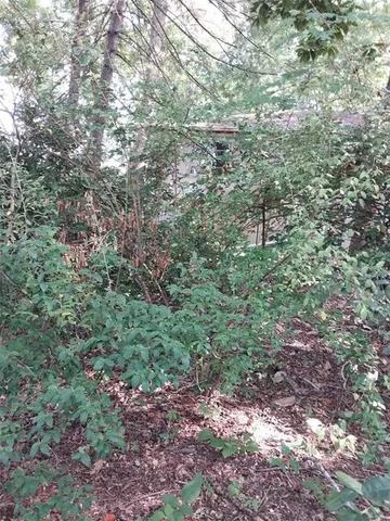 a view of a large yard with lots of trees