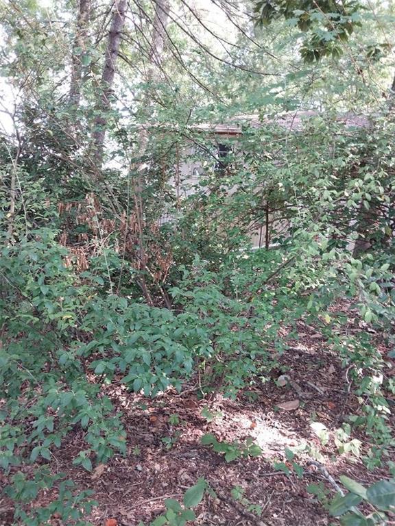 2672 Roswell Road Marietta, GA 30062 - Photo 12 of 17 a view of a large yard with lots of trees