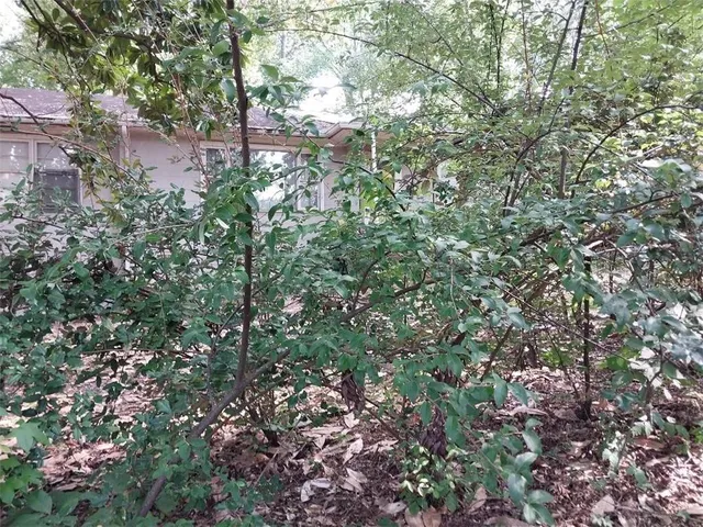 a view of a city with lush green forest