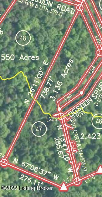 L47 Ted Logsdon Road Clarkson, KY 42726 - Photo 2 of 11 Lot View of Survey Plat