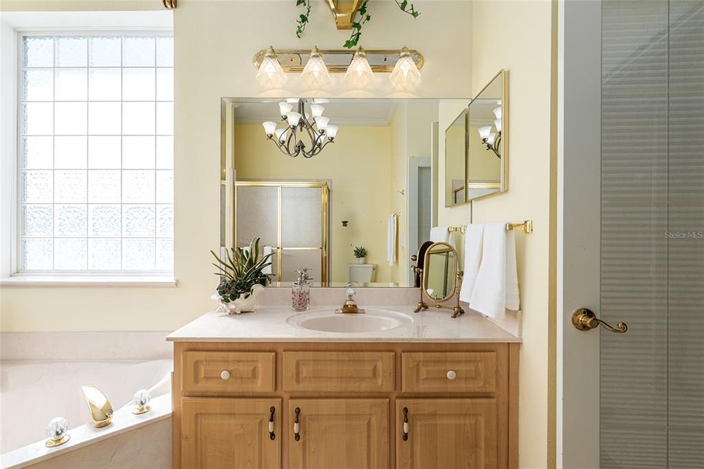 5711 Northwest 25th Loop Ocala, FL 34482 - Photo 48 of 91 a bathroom with a sink and a mirror