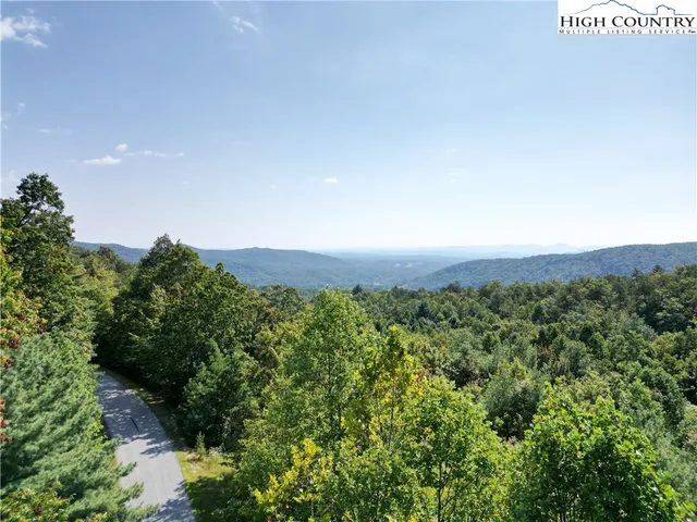 a view of a forest with trees in the background