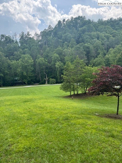 79 Elk Horn Road Ferguson, NC 28624 - Photo 11 of 21 a view of a grassy field with trees