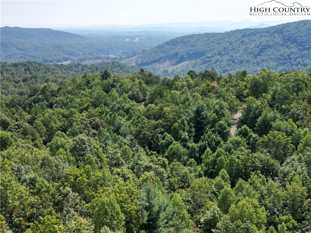 79 Elk Horn Road Ferguson, NC 28624 - Photo 21 of 21 a view of a lush green field with a view of a house
