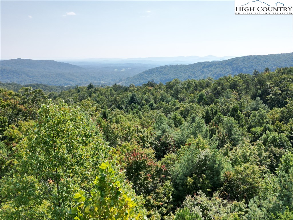 79 Elk Horn Road Ferguson, NC 28624 - Photo 4 of 21 a view of a lush green field with lots of bushes