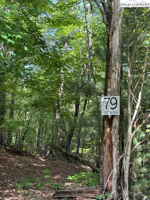 79 Elk Horn Road Ferguson, NC 28624 - Photo 6 of 21 a view of a street with trees