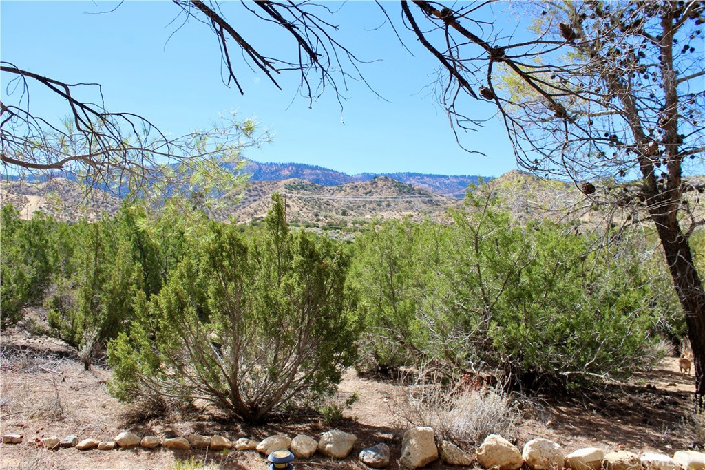 945 Nielson Road Pinon Hills, CA 92372 - Photo 29 of 51 Gallery Image 29