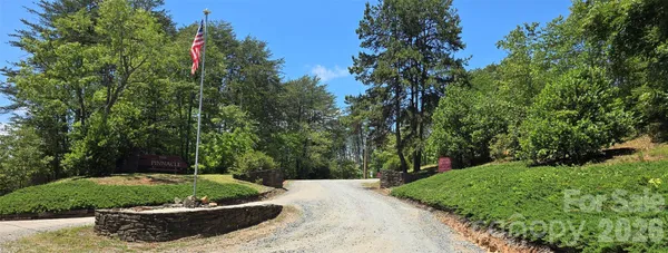 a view of a garden with plants and a fountain