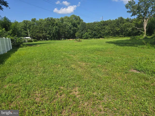 a view of field with tall trees
