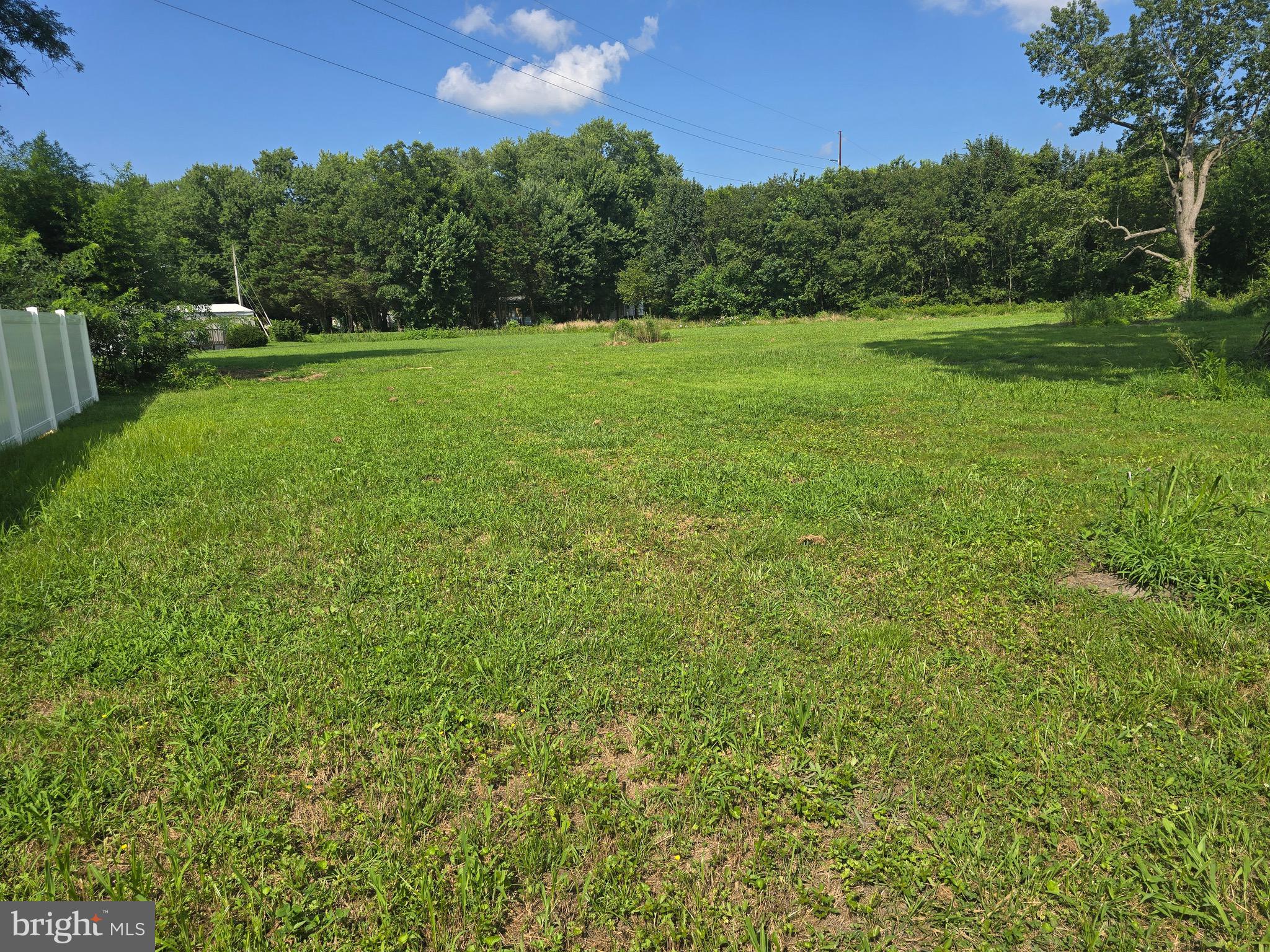7457 Market Street Willards, MD 21874 - Photo 7 of 51 a view of field with tall trees