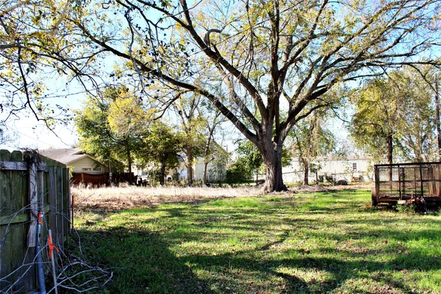 a view of a park with large trees