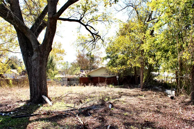 a view of a yard with a tree