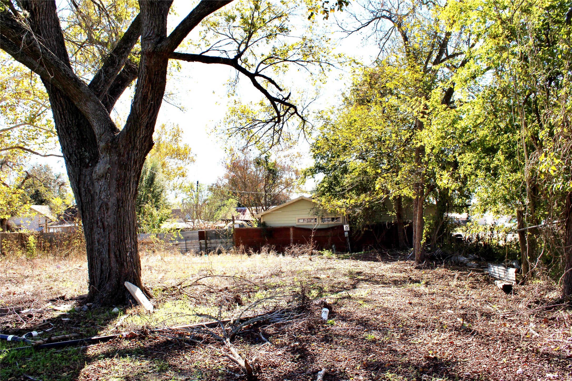 628 Austin Street Columbus, TX 78934 - Photo 6 of 8 a view of a yard with a tree