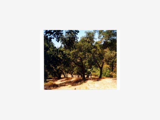 1727 Jack Rabbit Ridge Road Scotts Valley, CA 95066 - Photo 2 of 3 Gallery Image 2