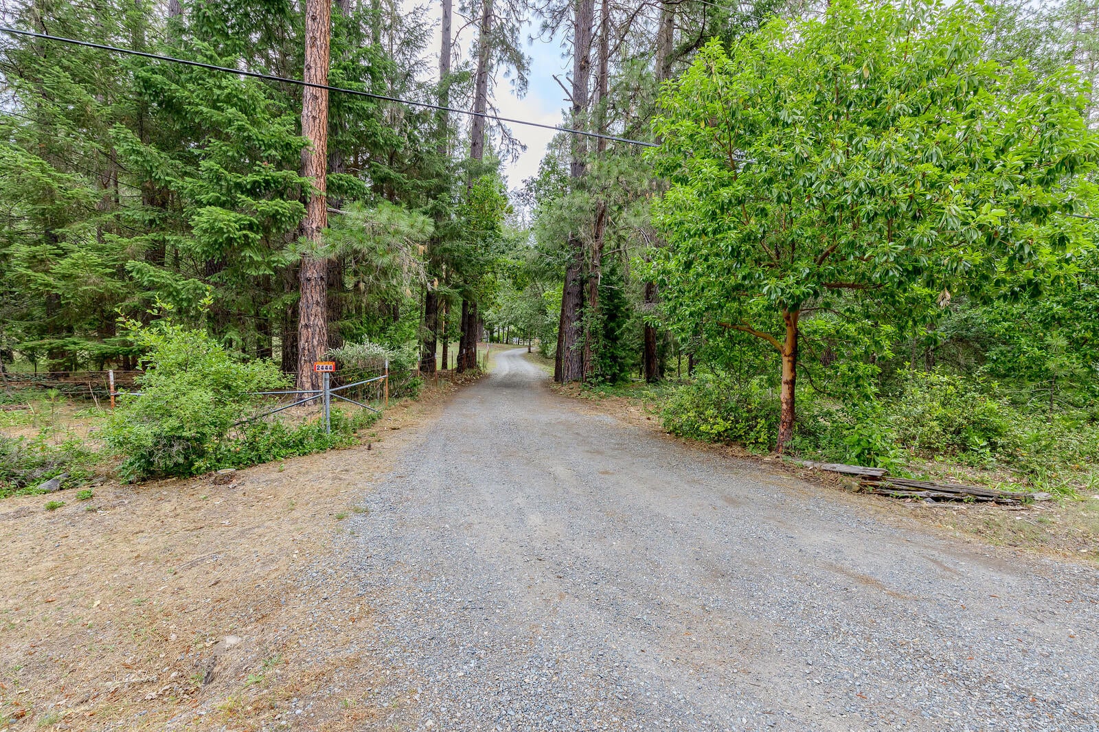 2444 Cedar Flat Road Williams, OR 97544 - Photo 40 of 74 51_CFR_51_mls