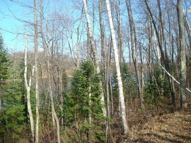 On High Peak Road Rhinelander, WI 54501 - Photo 10 of 11 Gallery Image 10