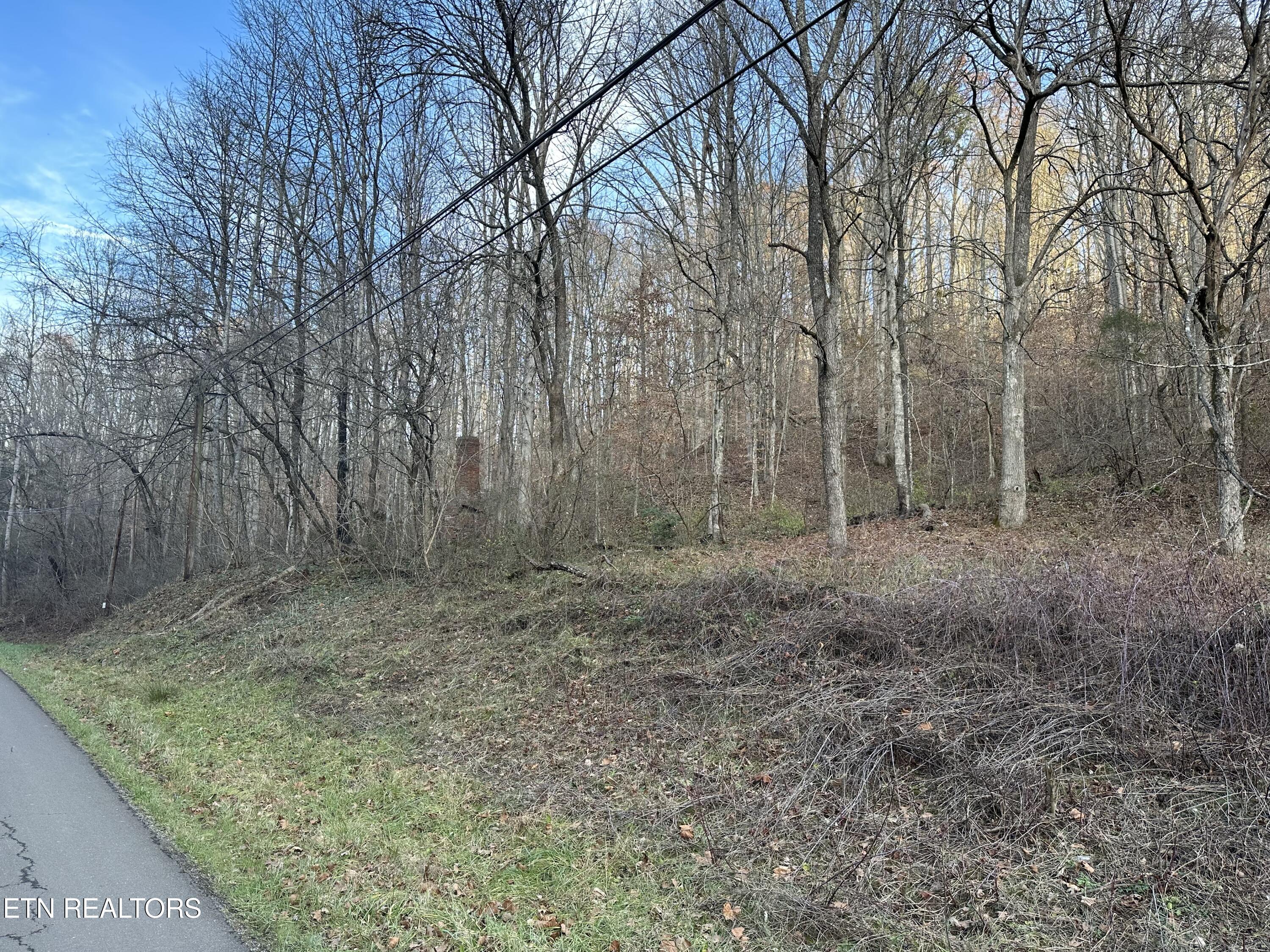 Sulphur Springs Road Pennington Gap, VA 24277 - Photo 2 of 6 IMG_1647