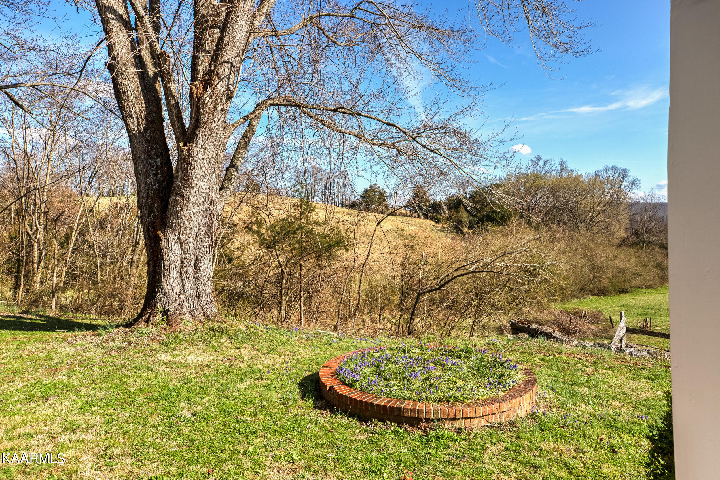 487 Rogers Road Speedwell, TN 37870 - Photo 8 of 33 487 Hope Wells Ln-13