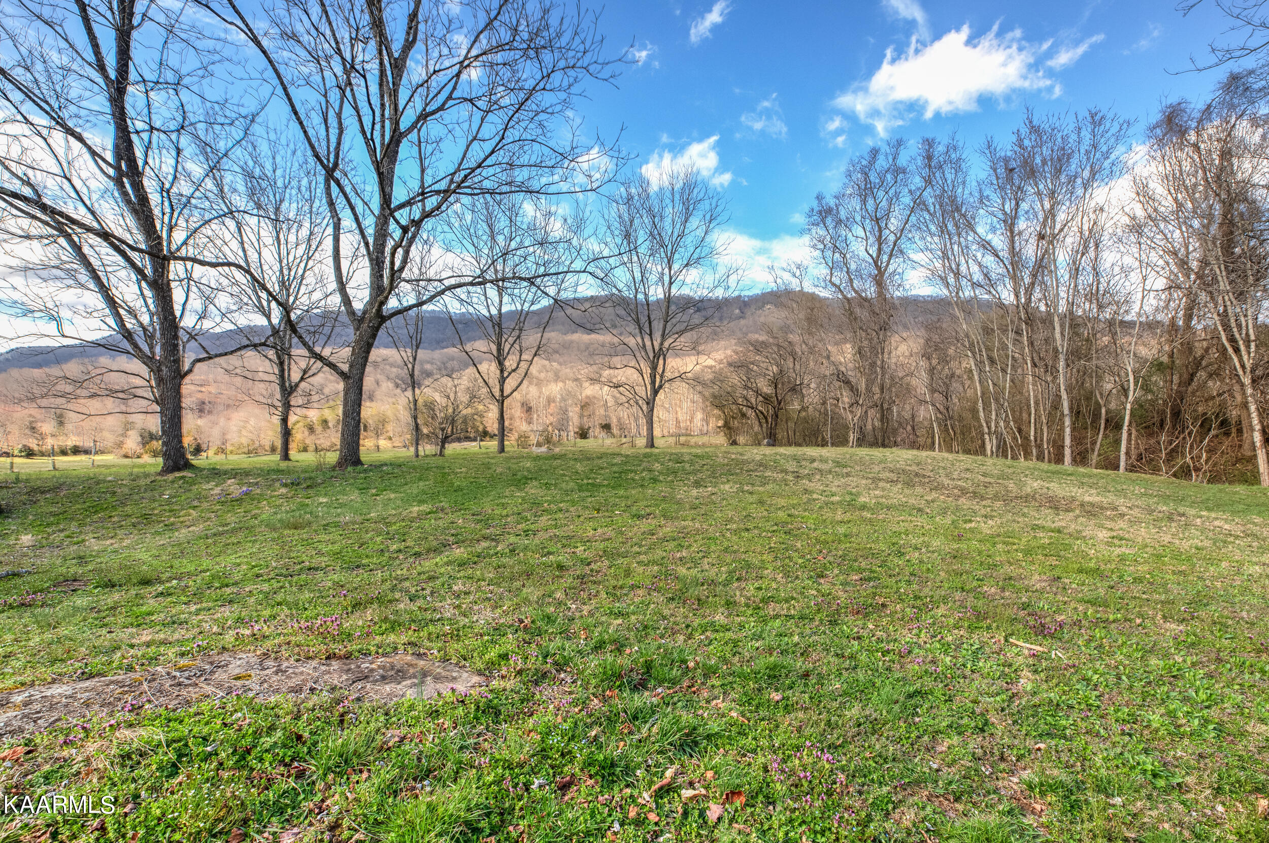 487 Rogers Road Speedwell, TN 37870 - Photo 9 of 33 487 Hope Wells Ln-12
