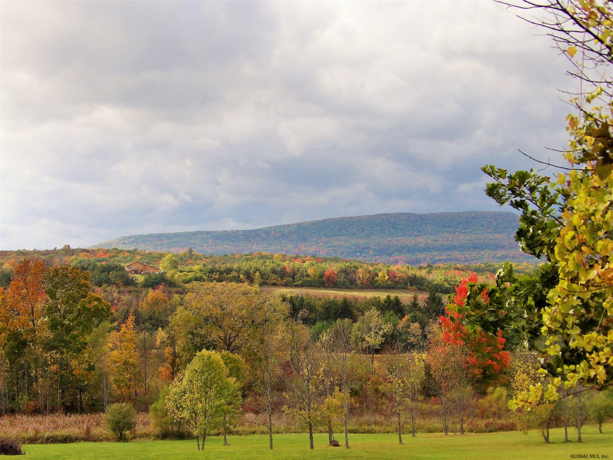 13 Spore Road New Scotland, NY 12054 - Photo 25 of 59 Photo 25