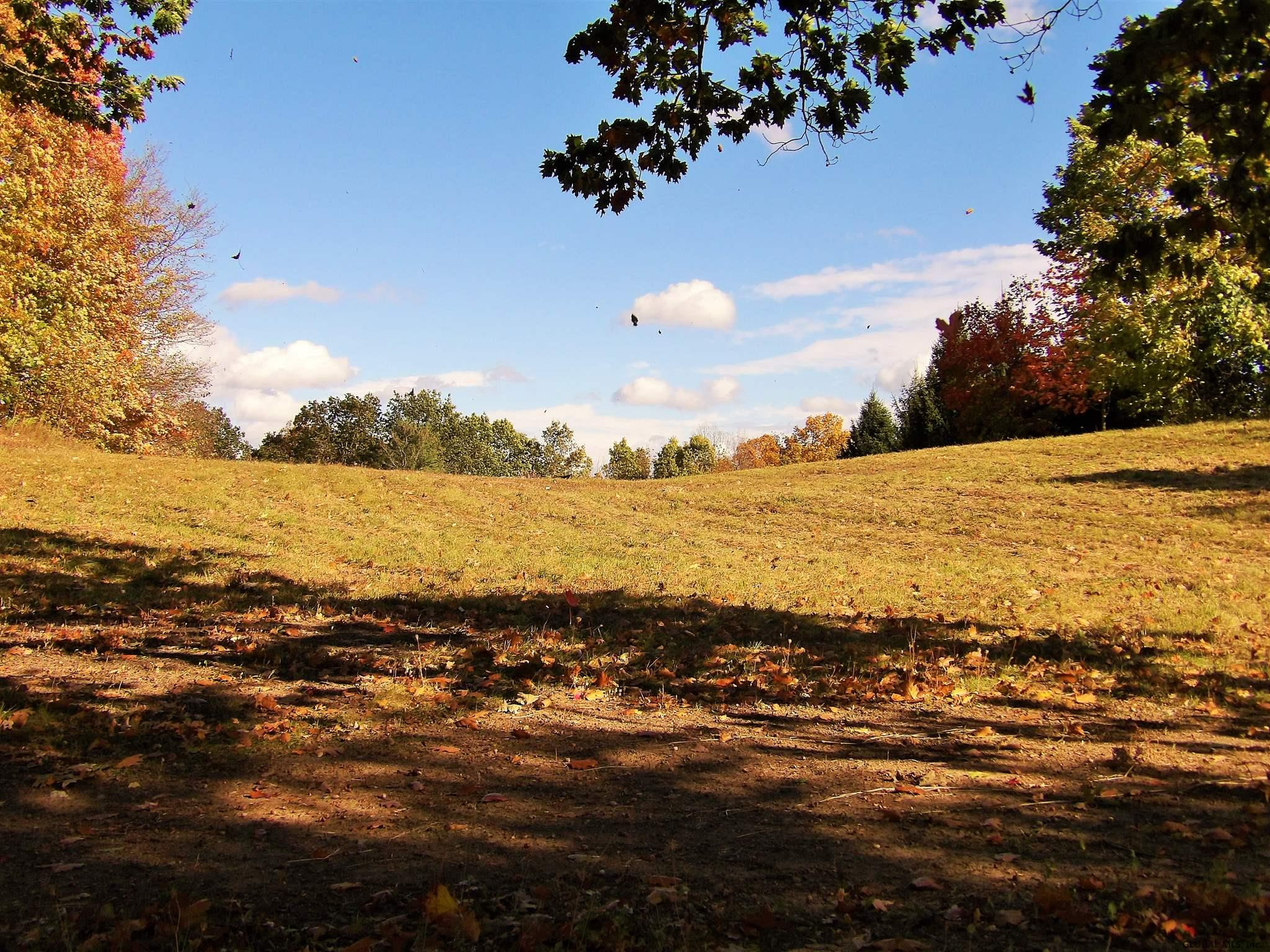 13 Spore Road New Scotland, NY 12054 - Photo 50 of 59 Photo 50