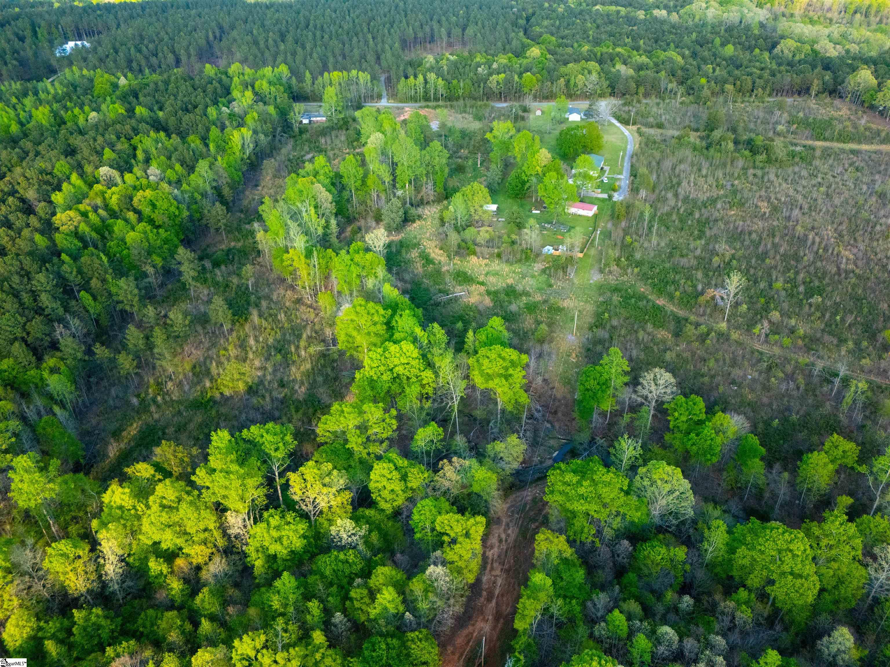 0 Bramlett Road Laurens, SC 29360 - Photo 12 of 16