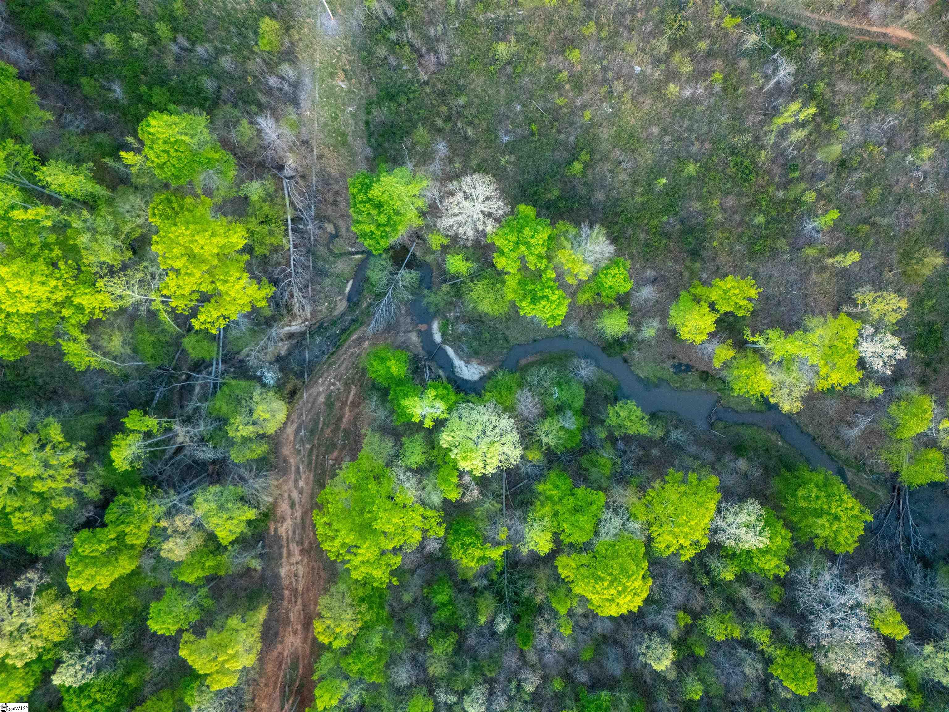 0 Bramlett Road Laurens, SC 29360 - Photo 13 of 16