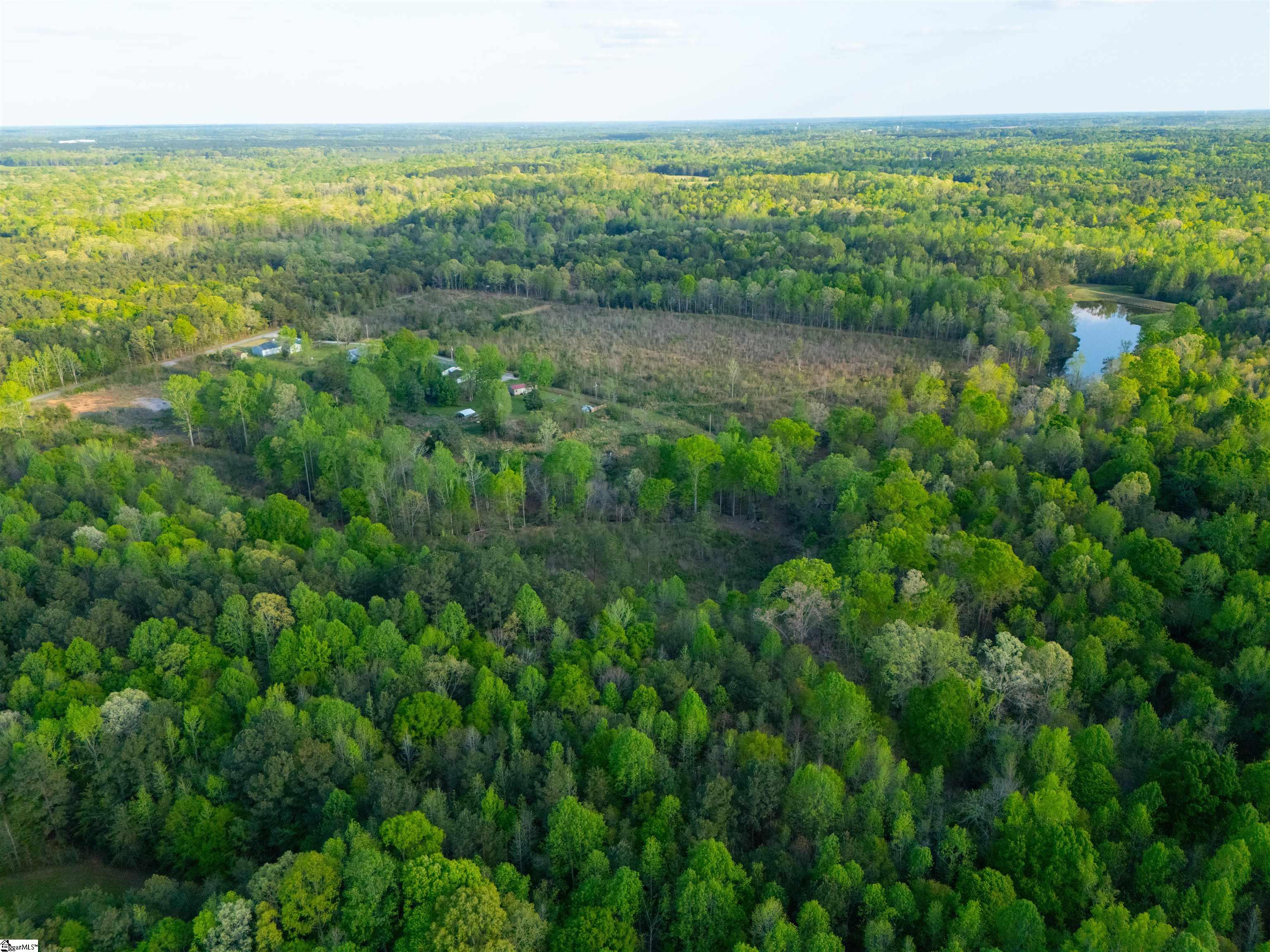 0 Bramlett Road Laurens, SC 29360 - Photo 9 of 16