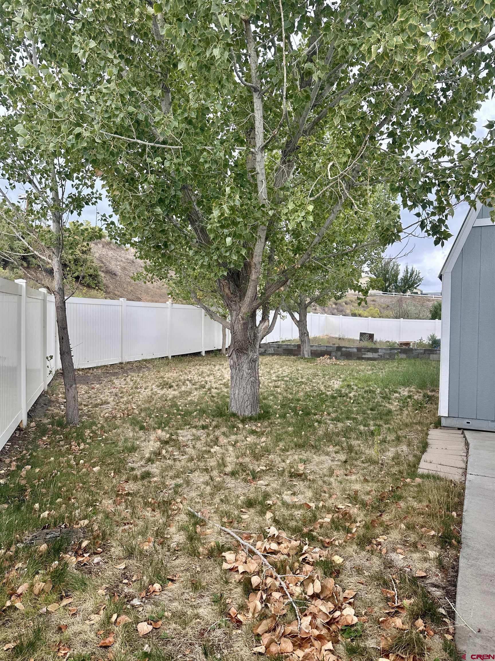 9427 2100th Road Austin, CO 81410 - Photo 35 of 42 a backyard of a house with lots of green space