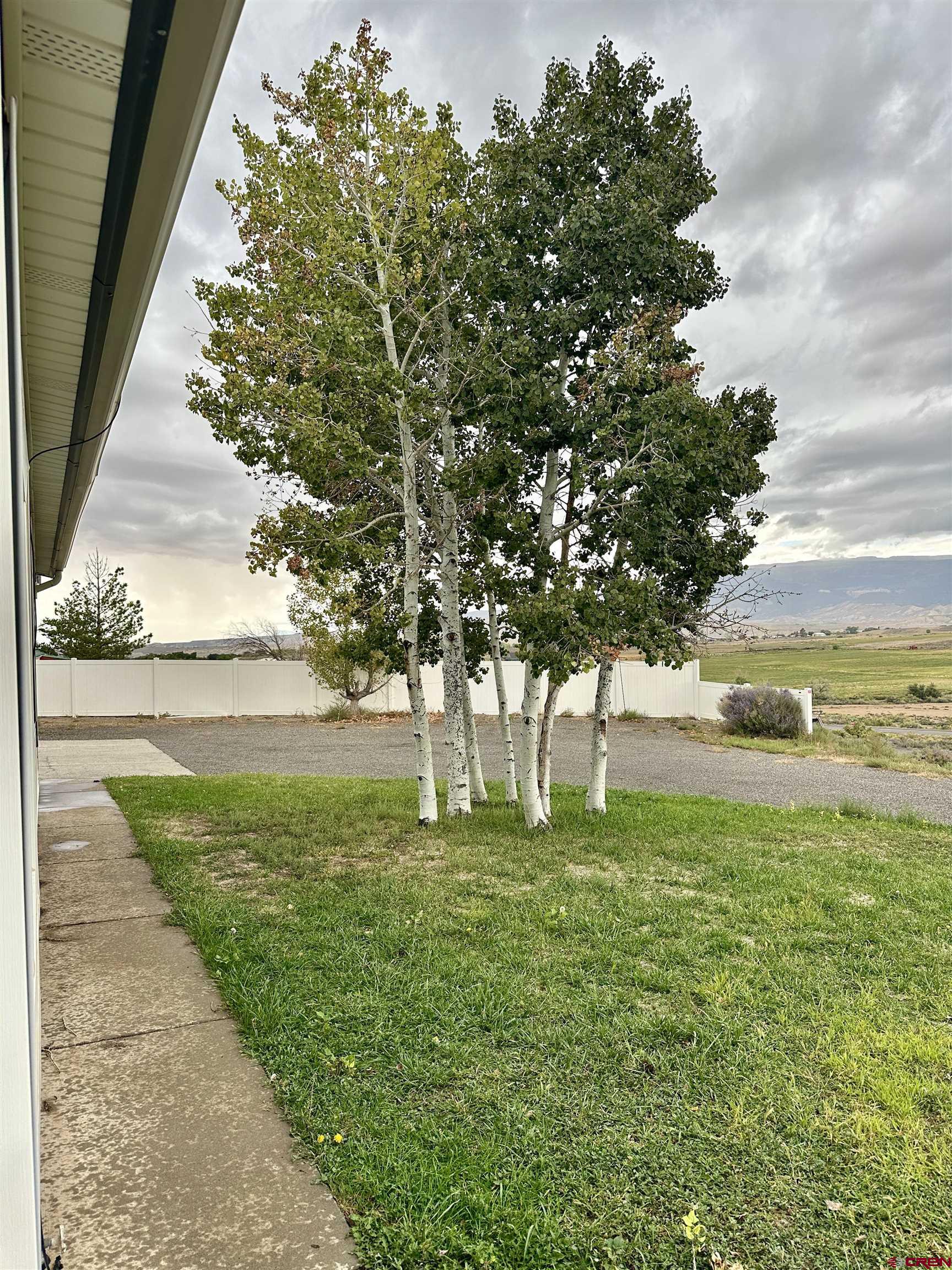 9427 2100th Road Austin, CO 81410 - Photo 41 of 42 a view of yard with tree in front of it