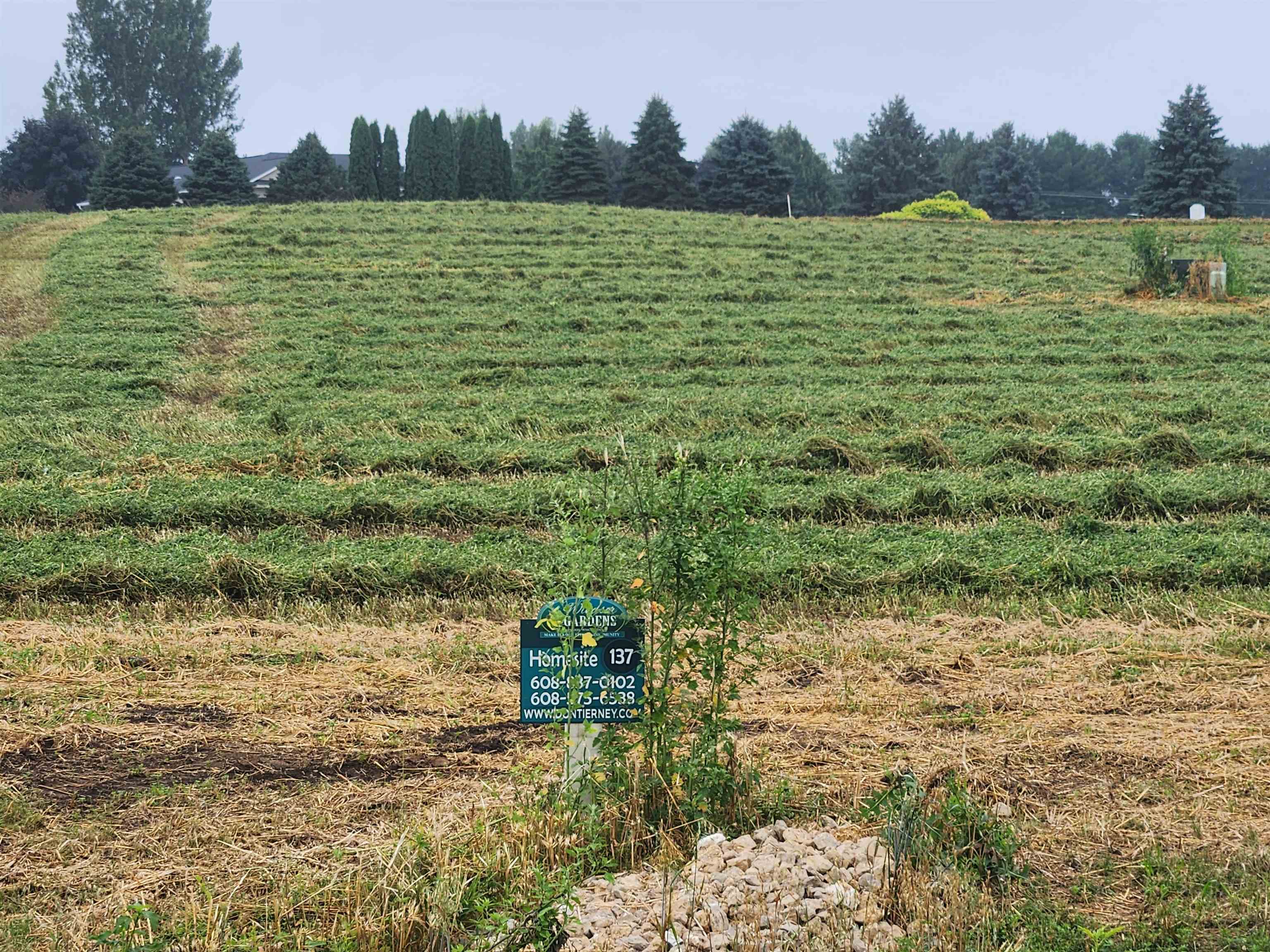 L137 Colton Sun Prairie Sun Prairie, WI 53590 - Photo 1 of 20