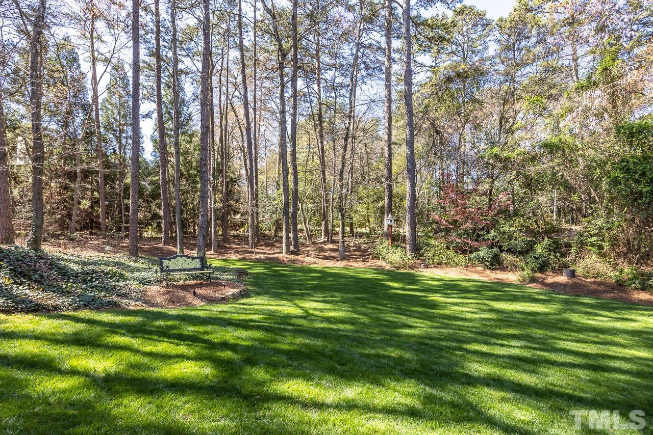 301 Medoc Lane Raleigh, NC 27615 - Photo 33 of 55 a view of a park with a tree